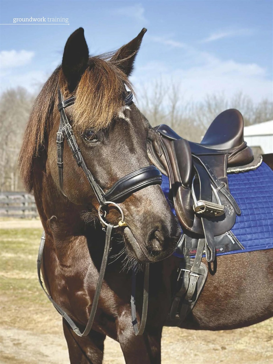 Horse Illustrated Magazine Preview Pages