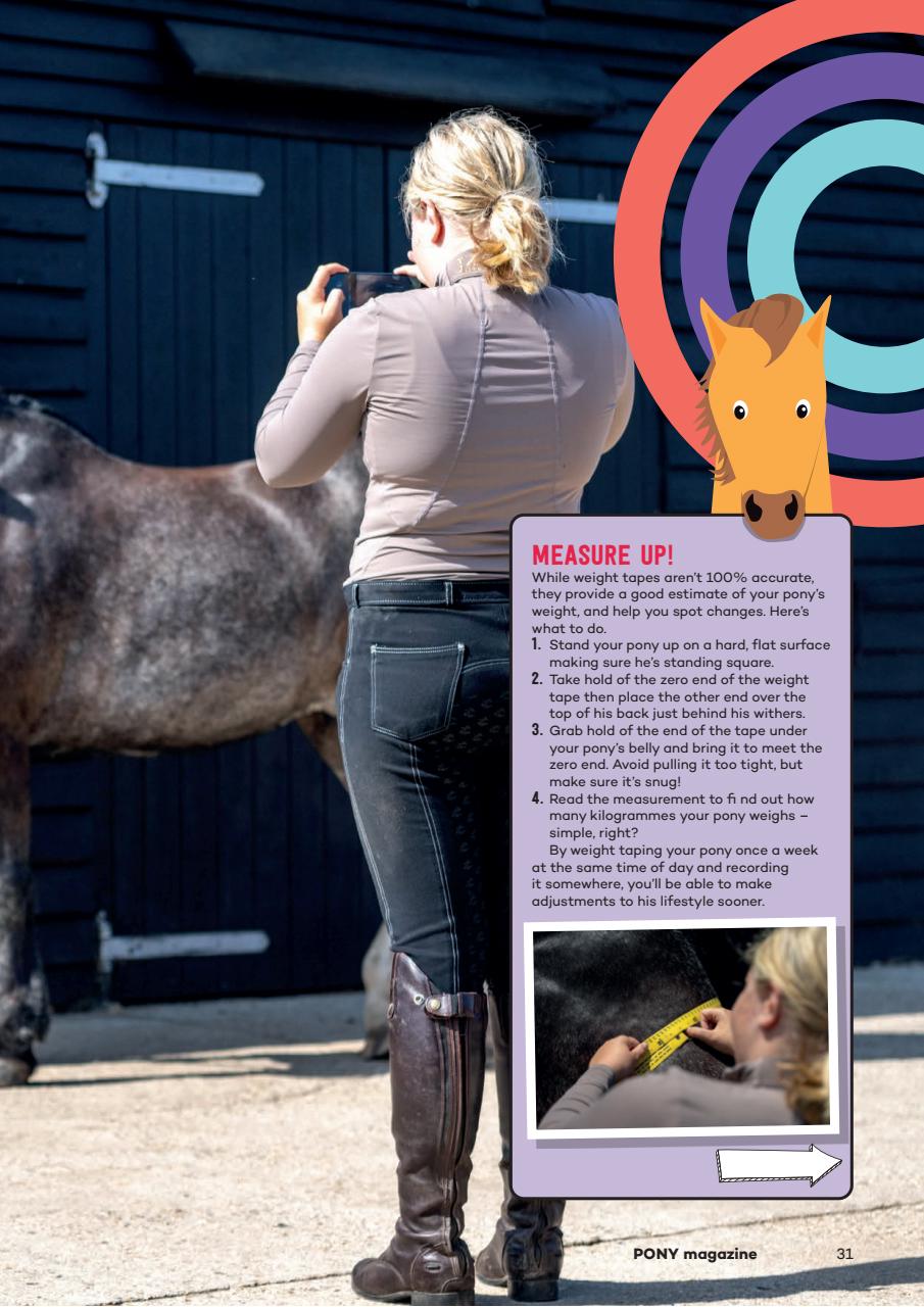 Pony Magazine Preview Pages