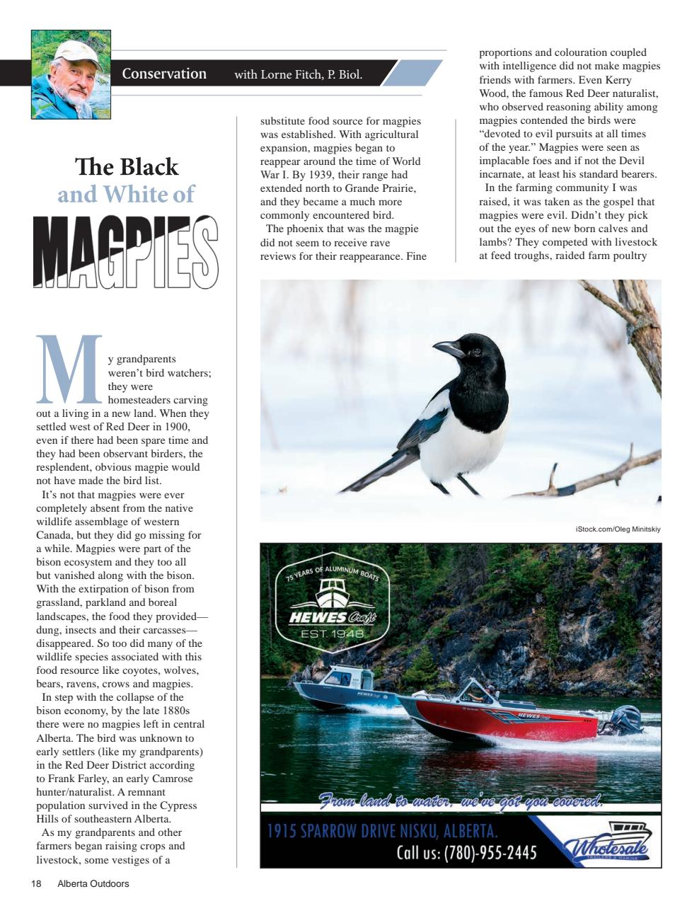 Alberta Outdoors Preview Pages