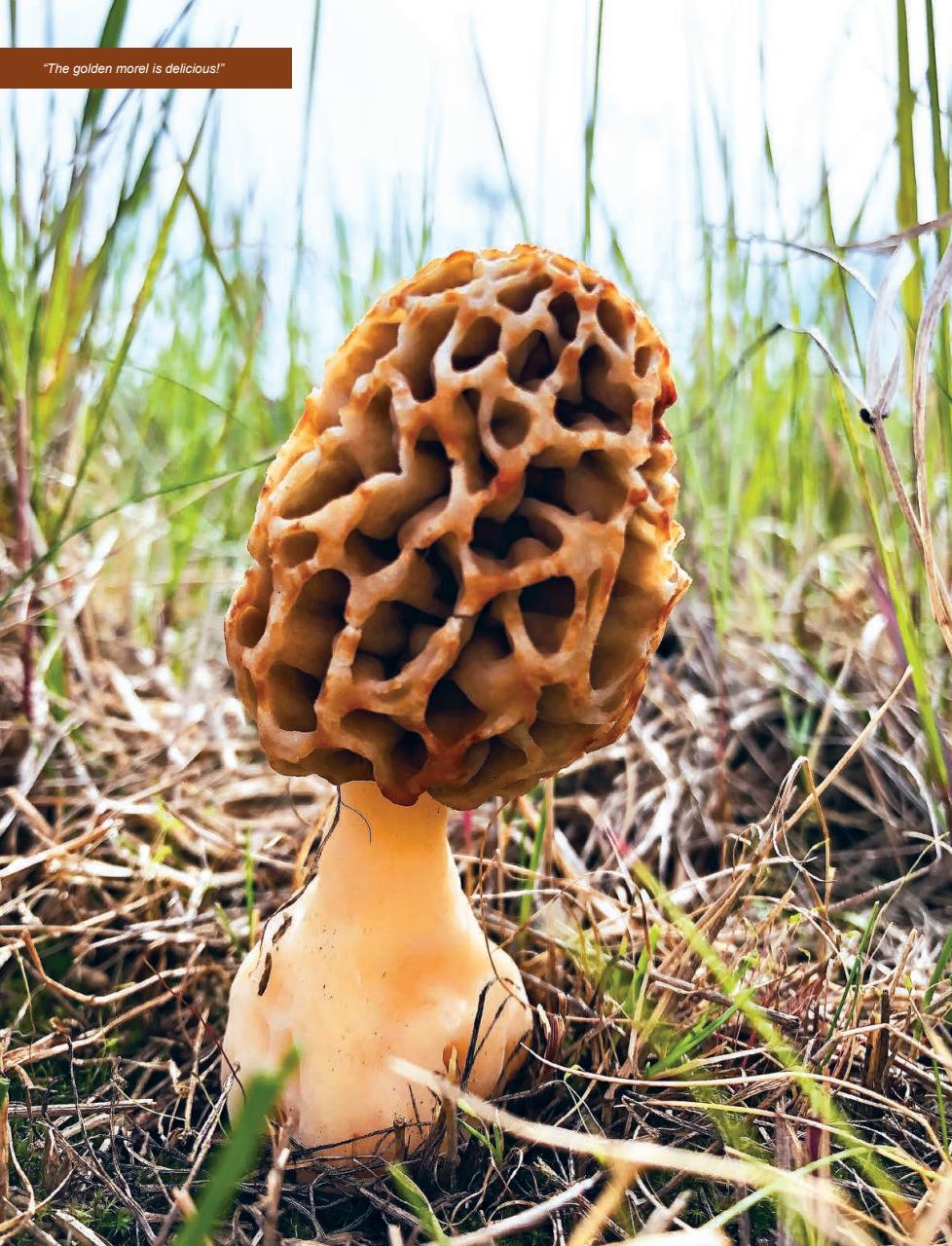 Alberta Outdoors Preview Pages