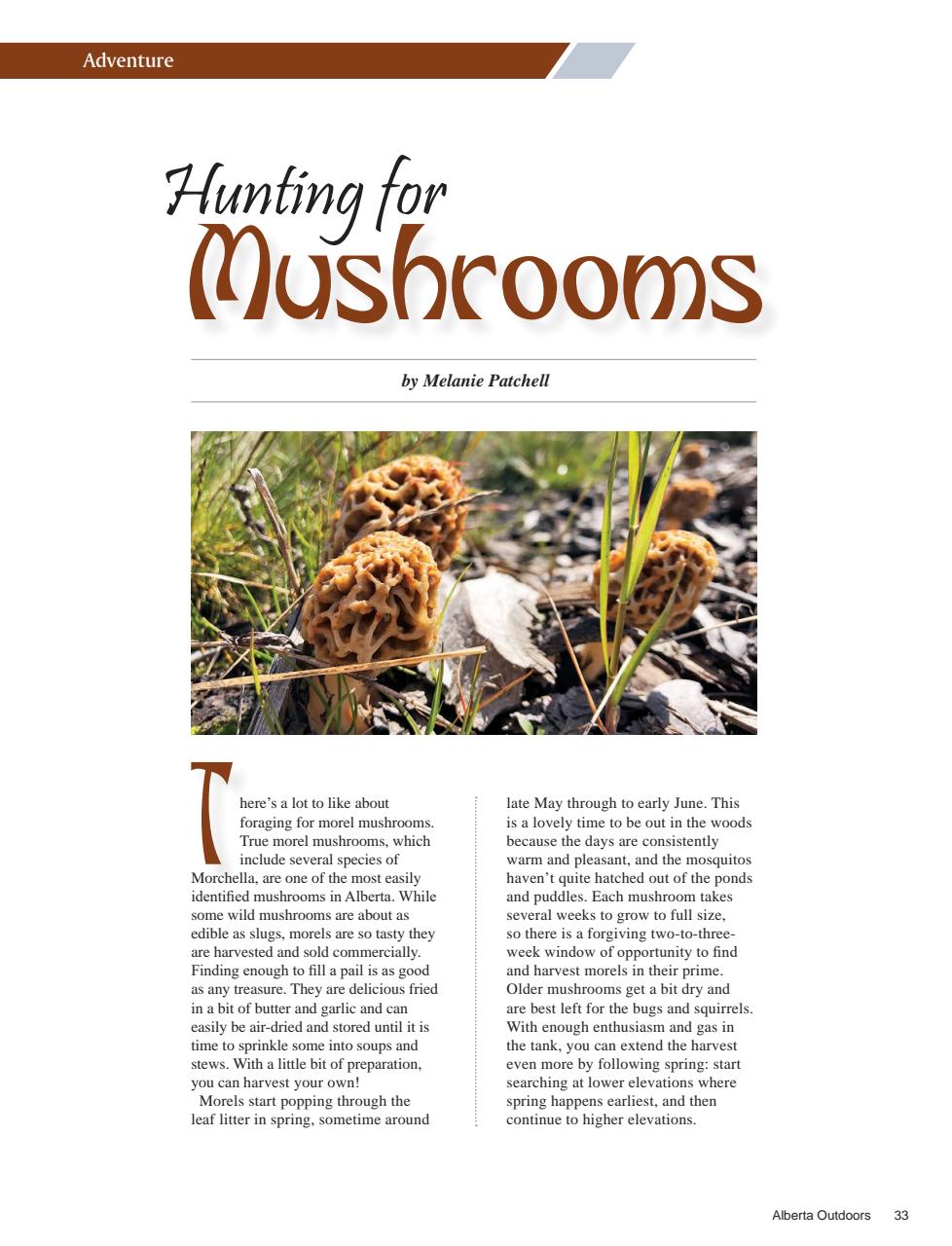 Alberta Outdoors Preview Pages