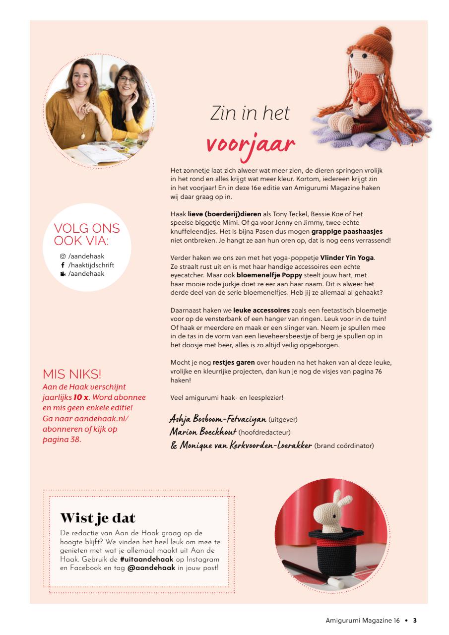 Amigurumi Magazine Preview Pages