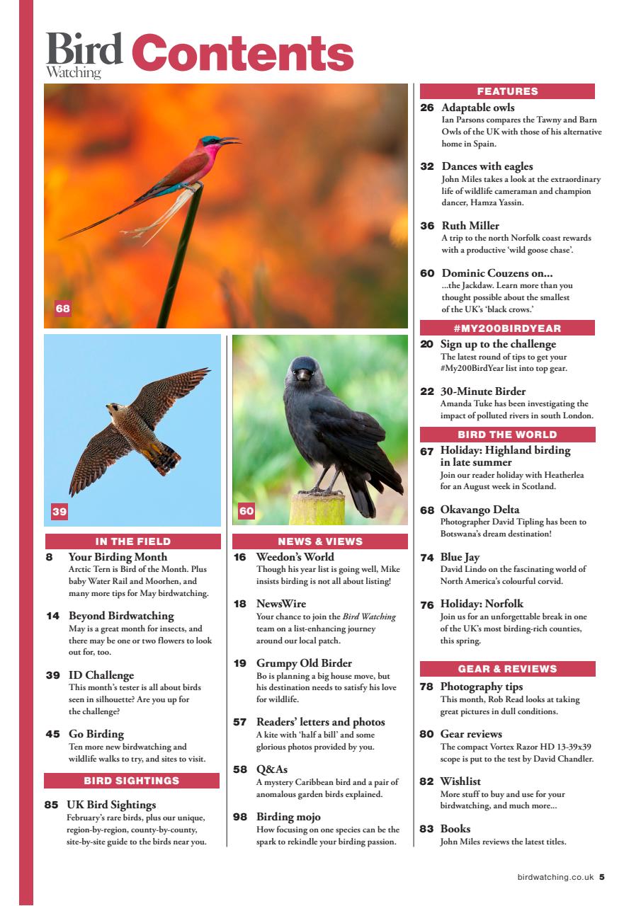 Bird Watching Preview Pages