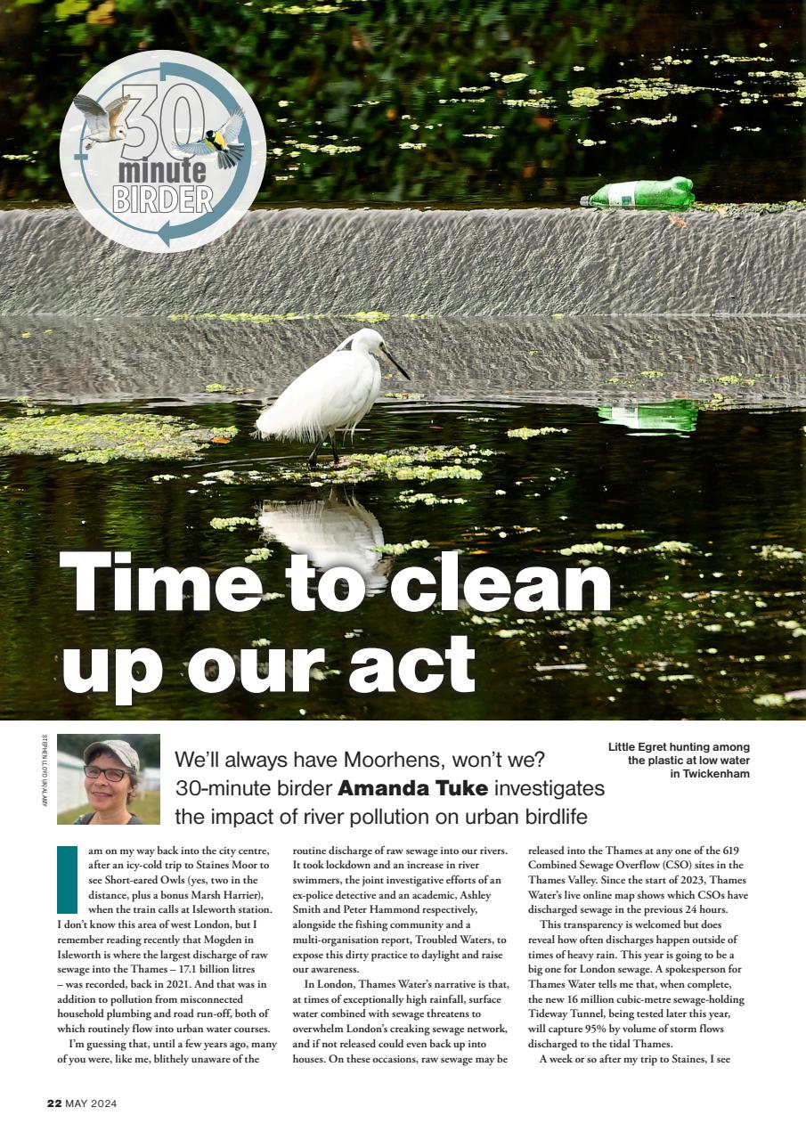 Bird Watching Preview Pages