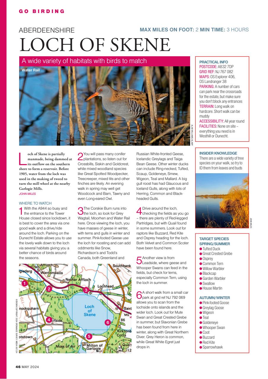 Bird Watching Preview Pages