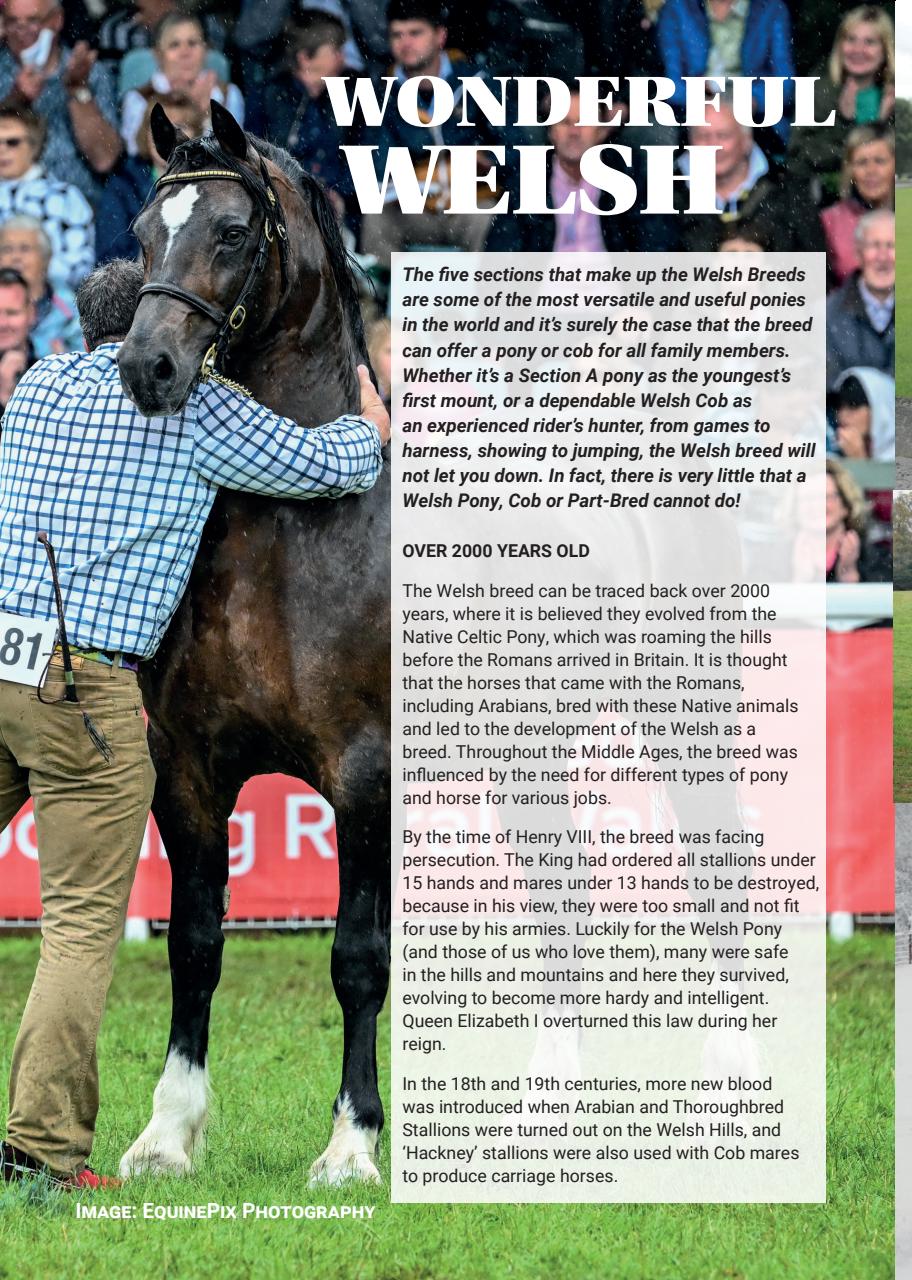 Boys Ride Too Preview Pages