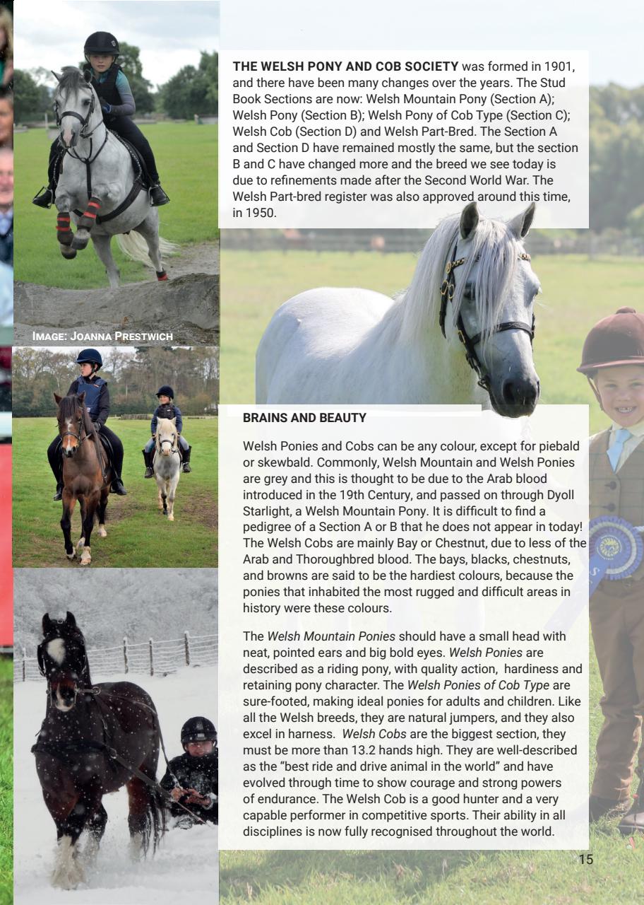 Boys Ride Too Preview Pages