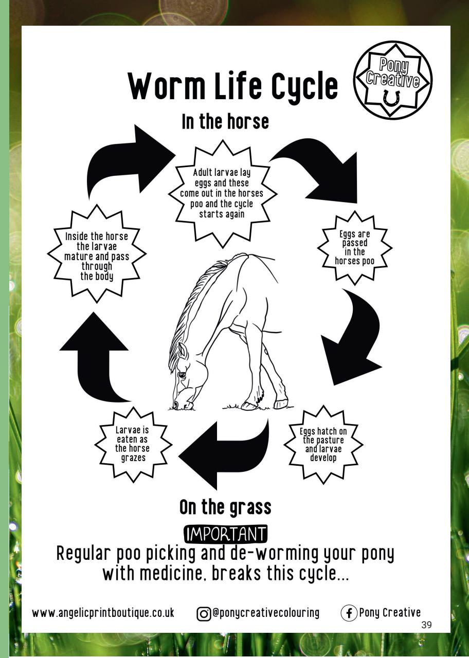 Boys Ride Too Preview Pages