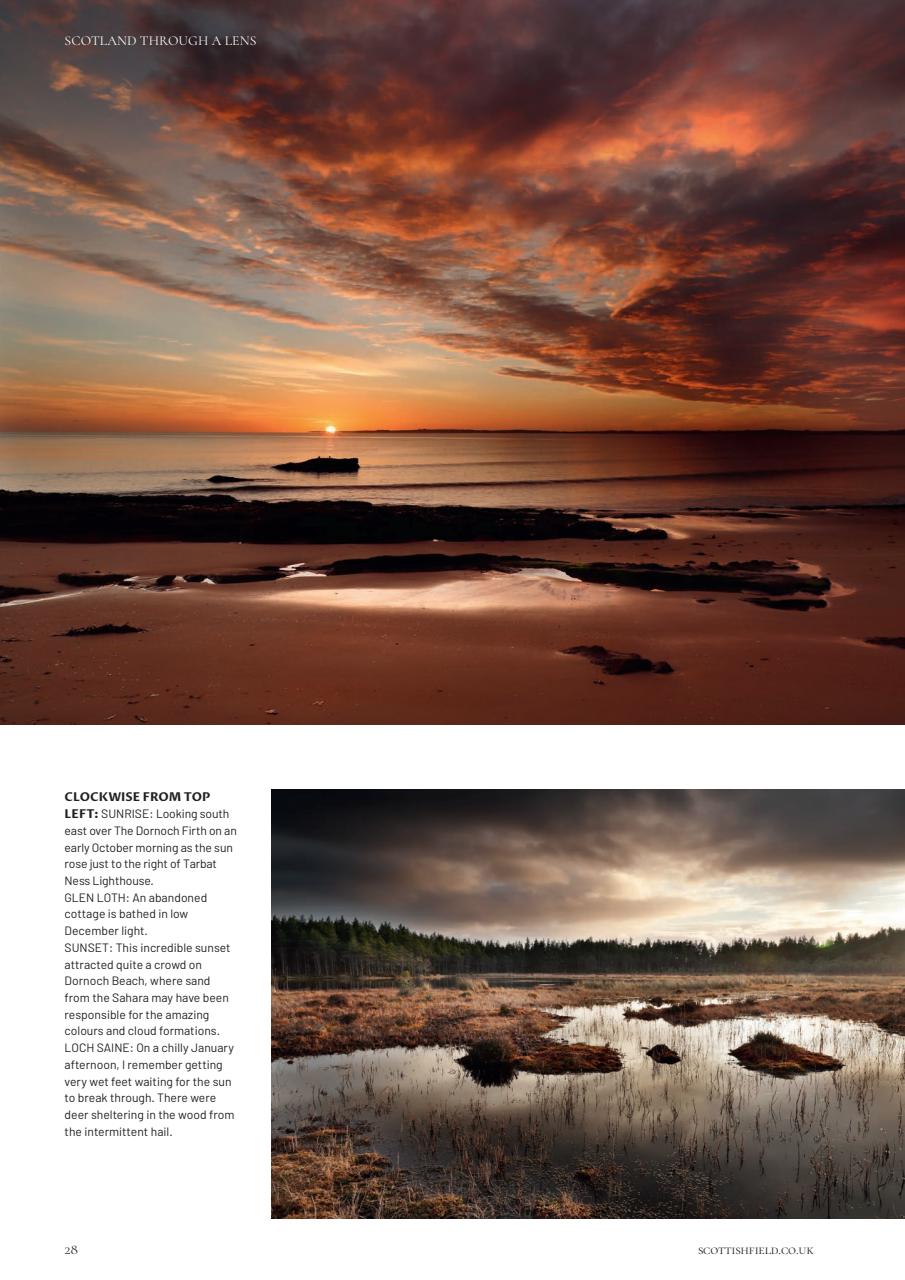 Scottish Field Preview Pages