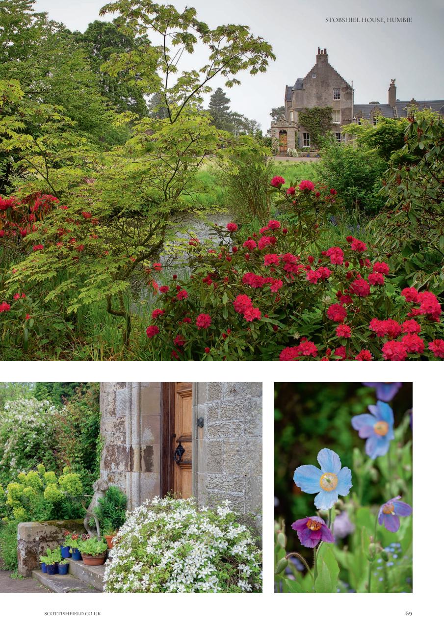 Scottish Field Preview Pages