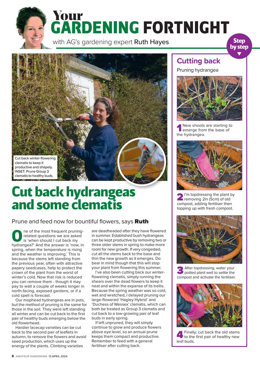 Amateur Gardening Preview Pages