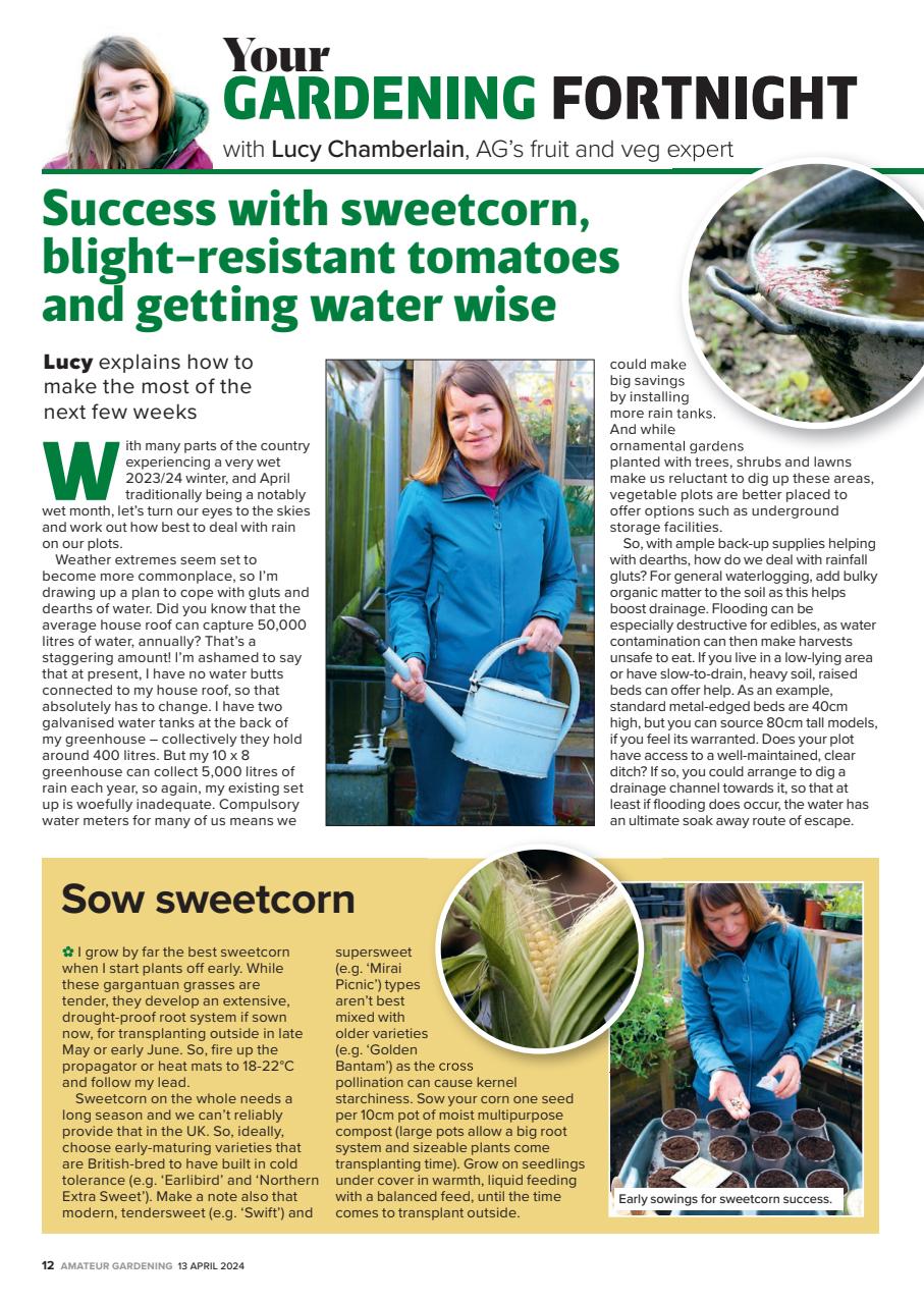 Amateur Gardening Preview Pages