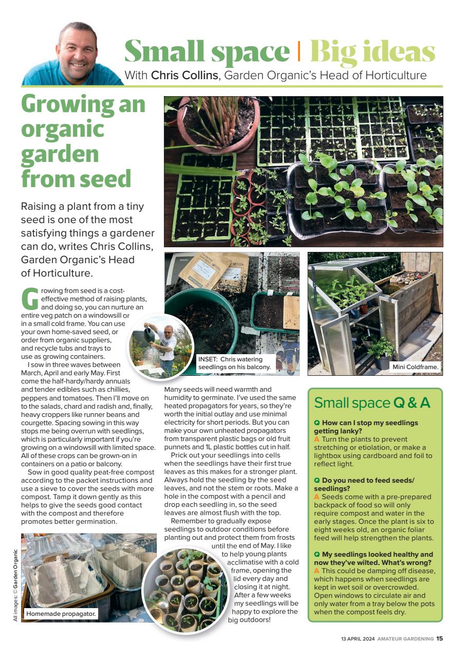 Amateur Gardening Preview Pages
