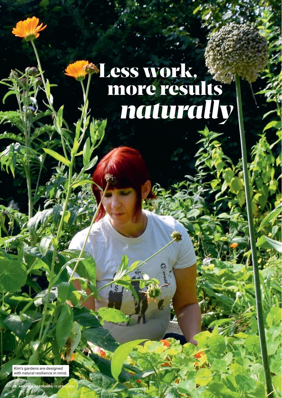 Amateur Gardening Preview Pages