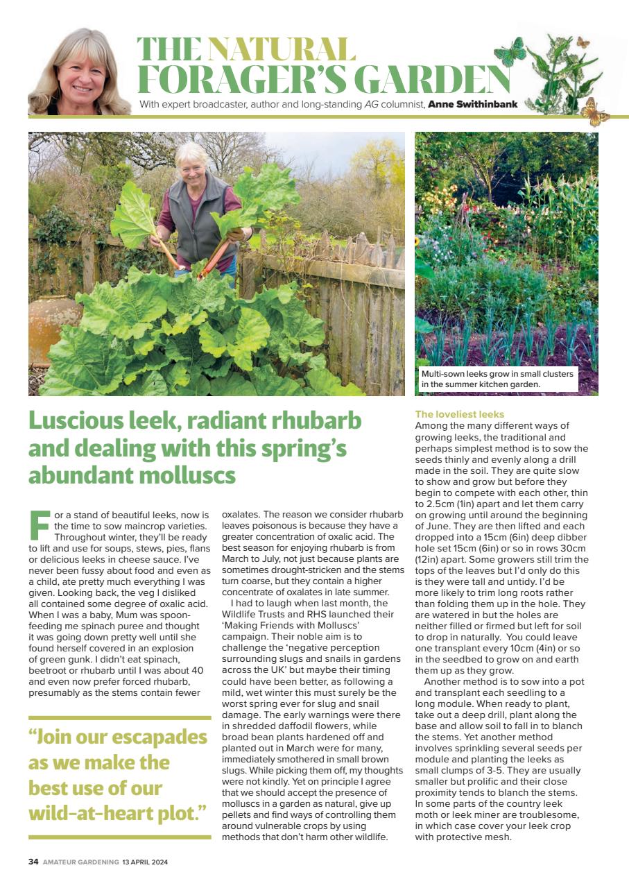 Amateur Gardening Preview Pages