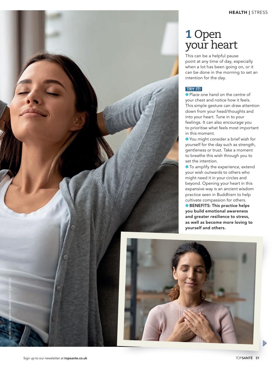 Top Sante Preview Pages