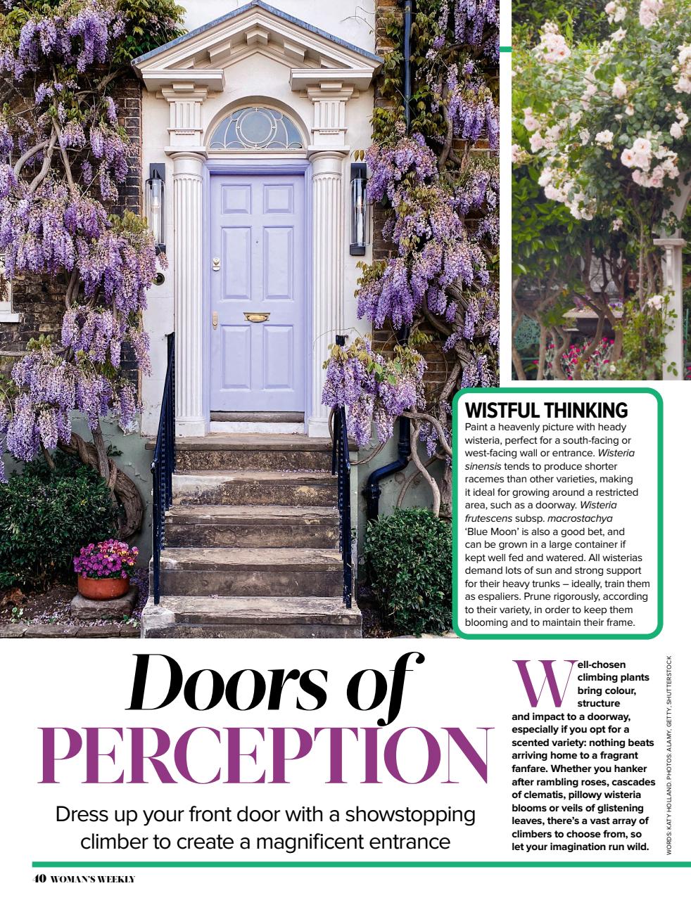 Woman's Weekly Preview Pages