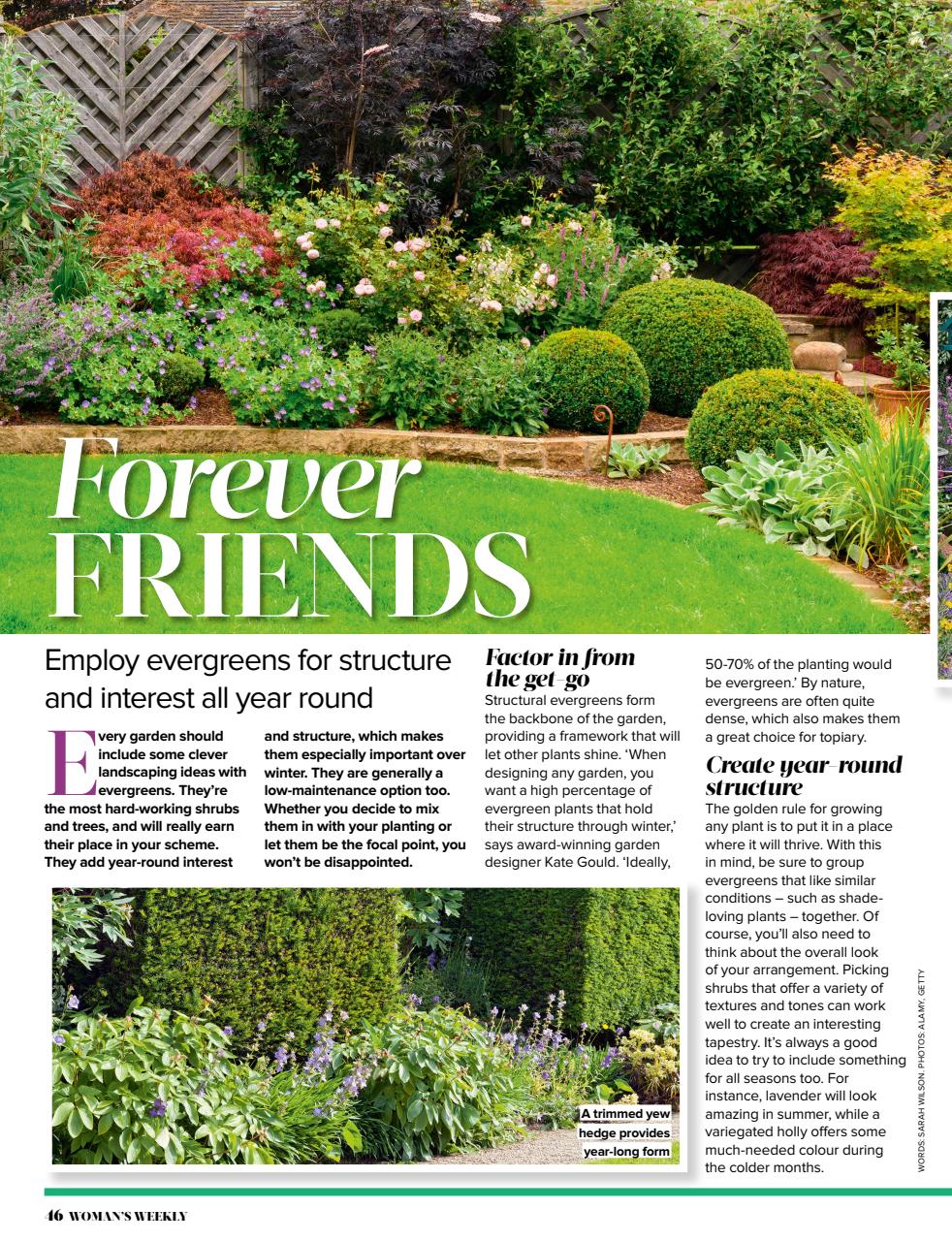 Woman's Weekly Preview Pages