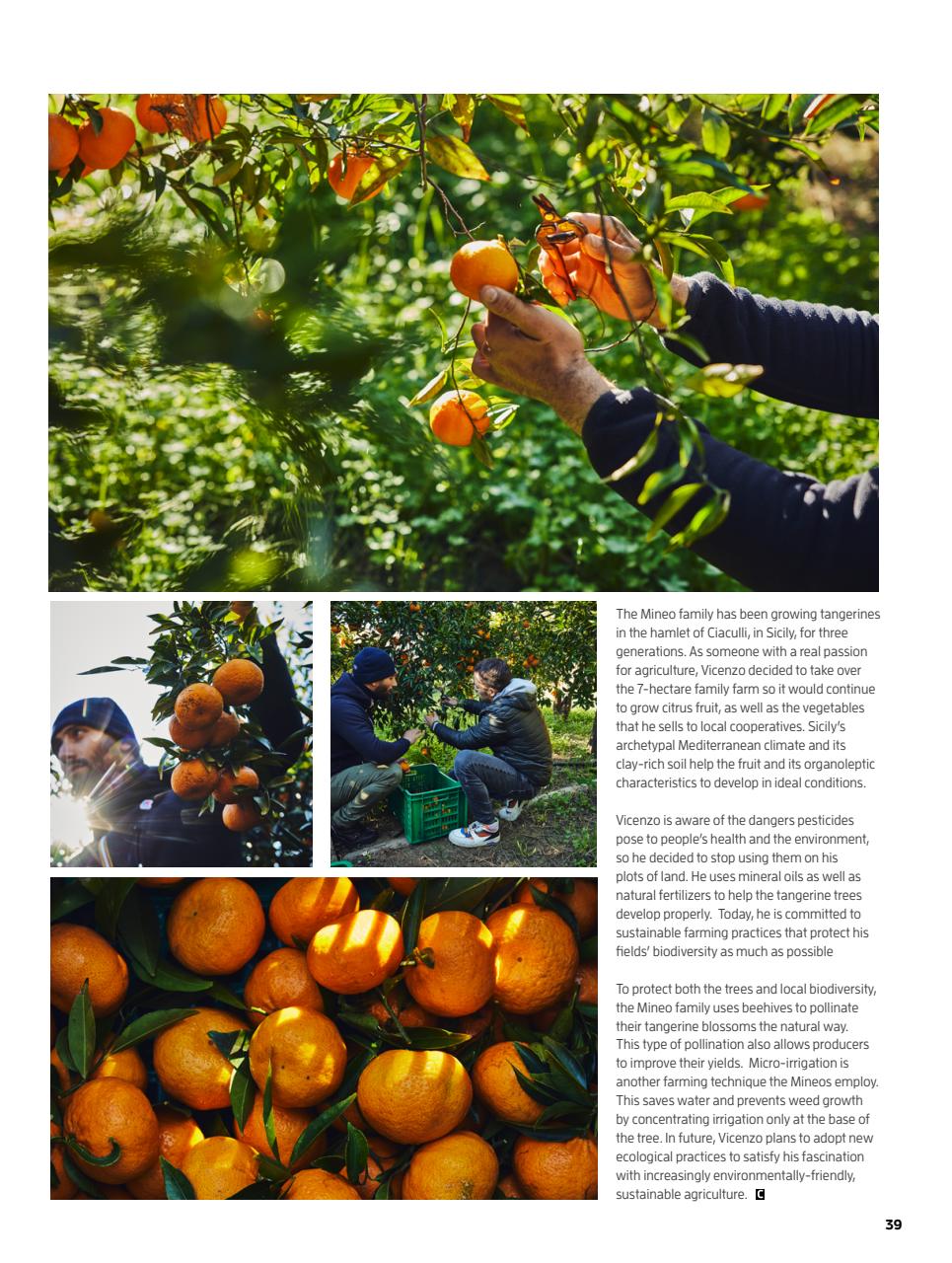 Chef & Restaurant Magazine Preview Pages