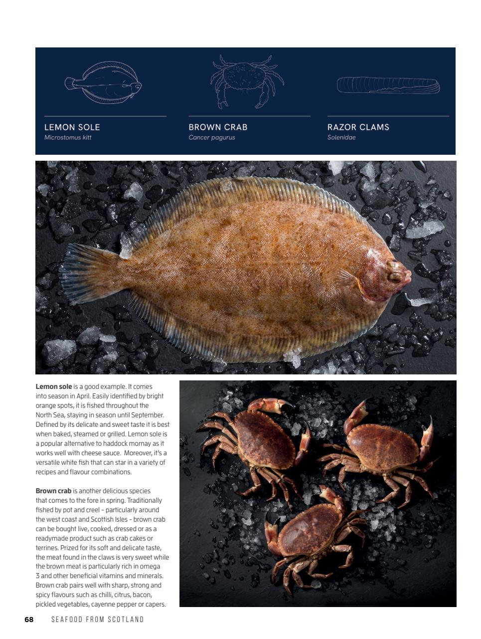 Chef & Restaurant Magazine Preview Pages