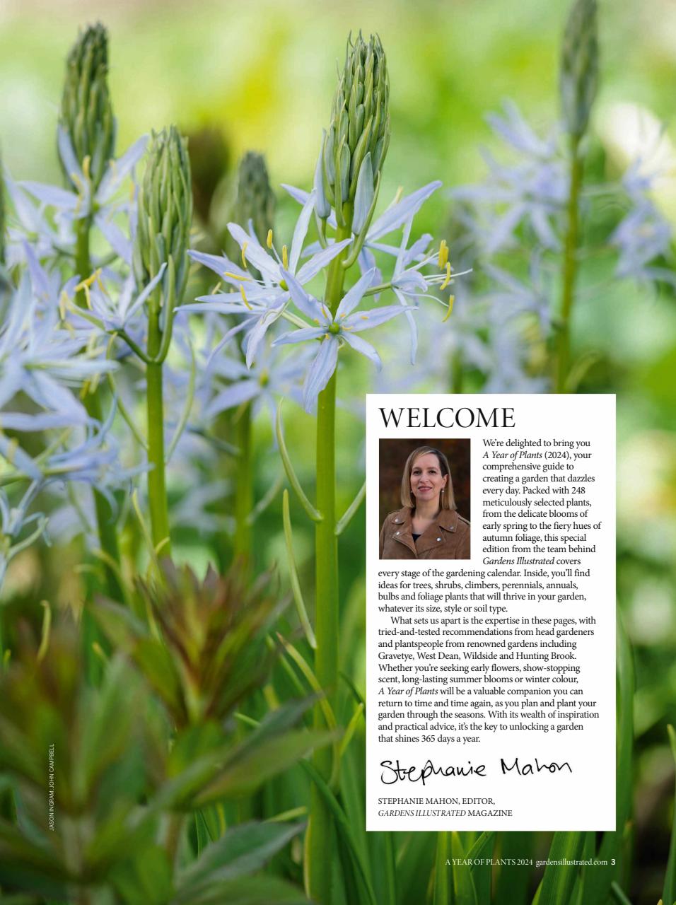 Gardens Illustrated Preview Pages