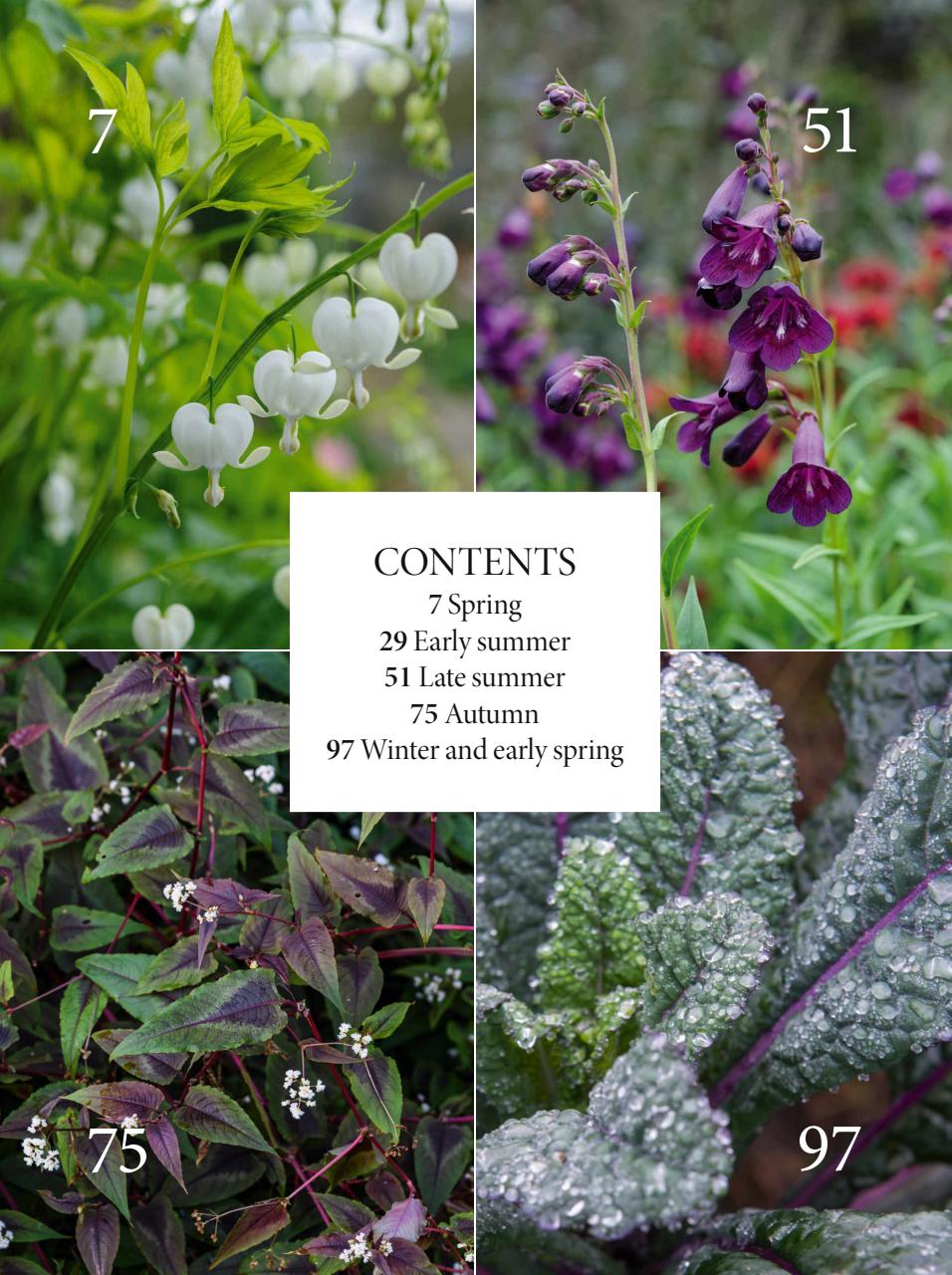 Gardens Illustrated Preview Pages