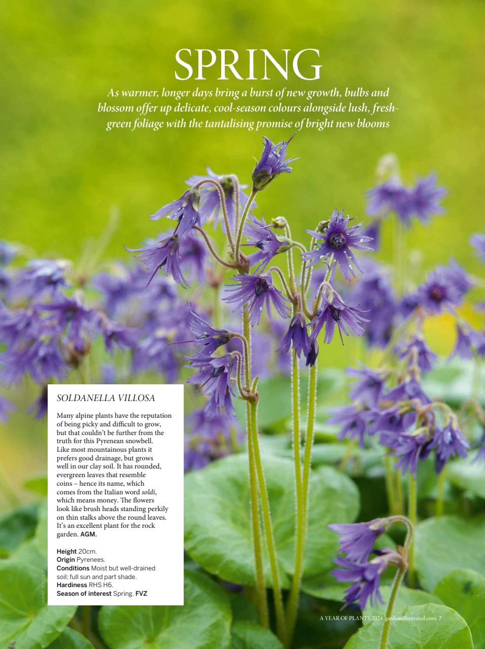Gardens Illustrated Preview Pages