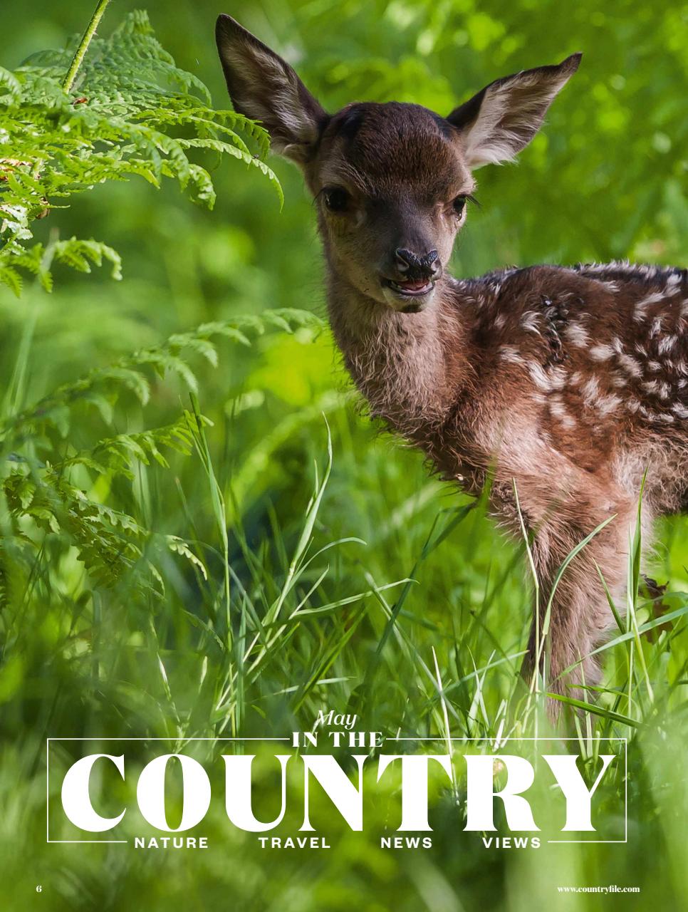 BBC Countryfile Magazine Preview Pages