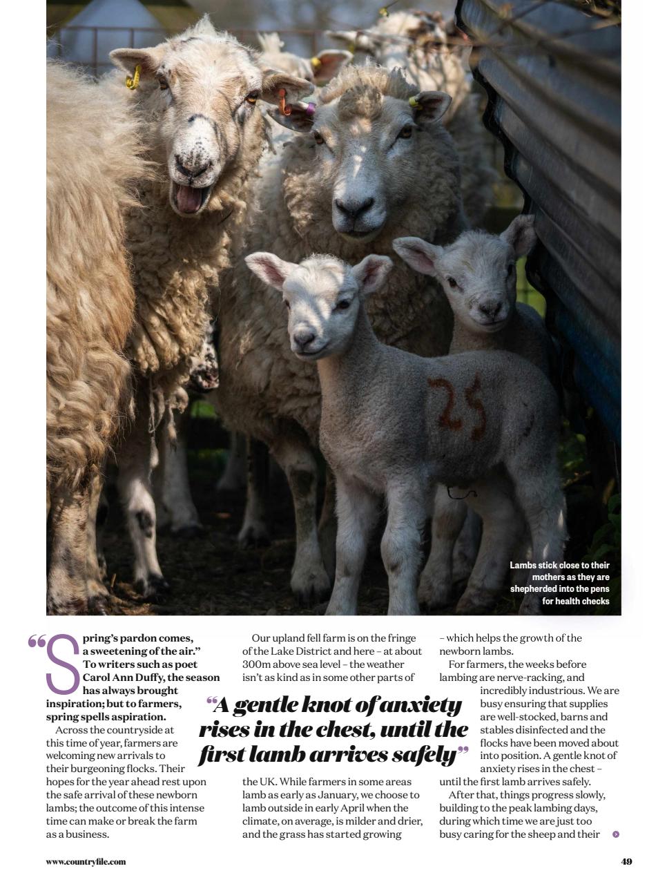 BBC Countryfile Magazine Preview Pages