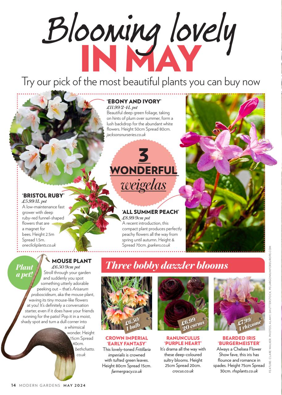 Modern Gardens Preview Pages