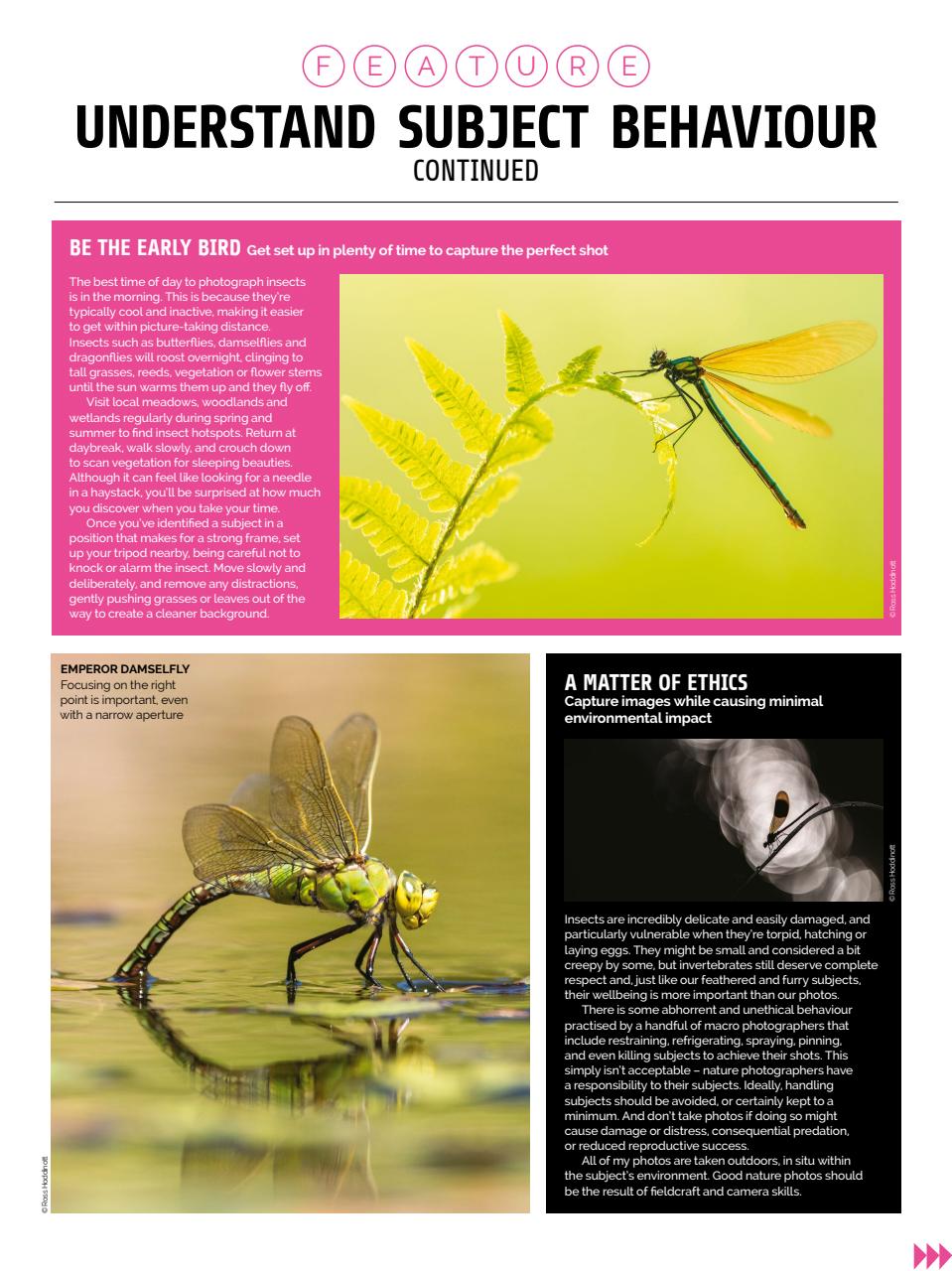 Photography Week Preview Pages