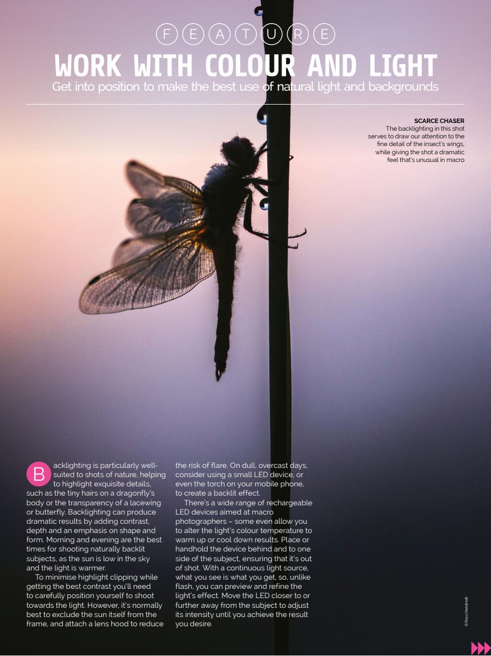 Photography Week Preview Pages