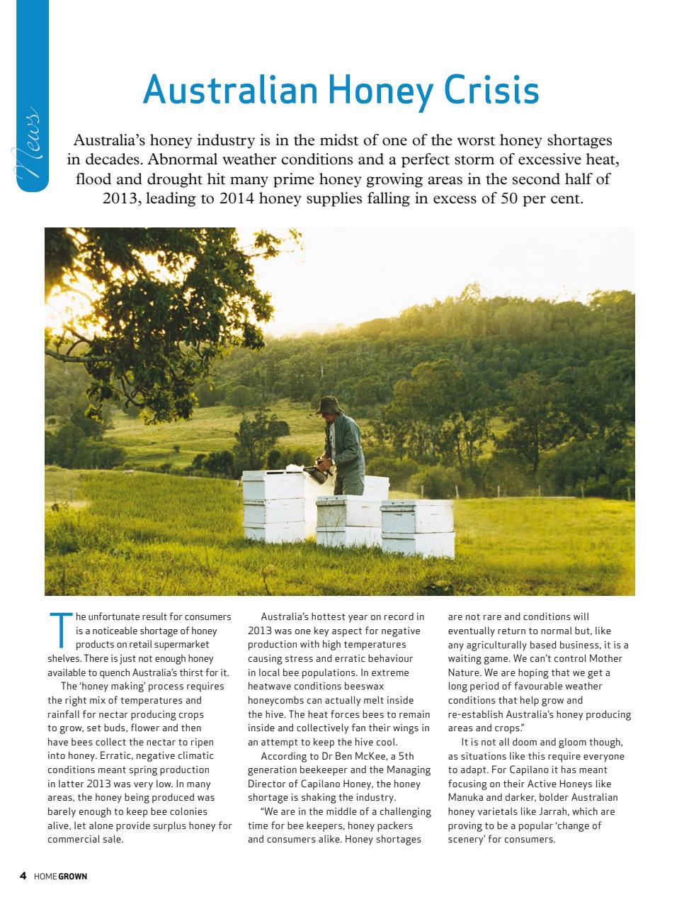 HomeGrown Preview Pages