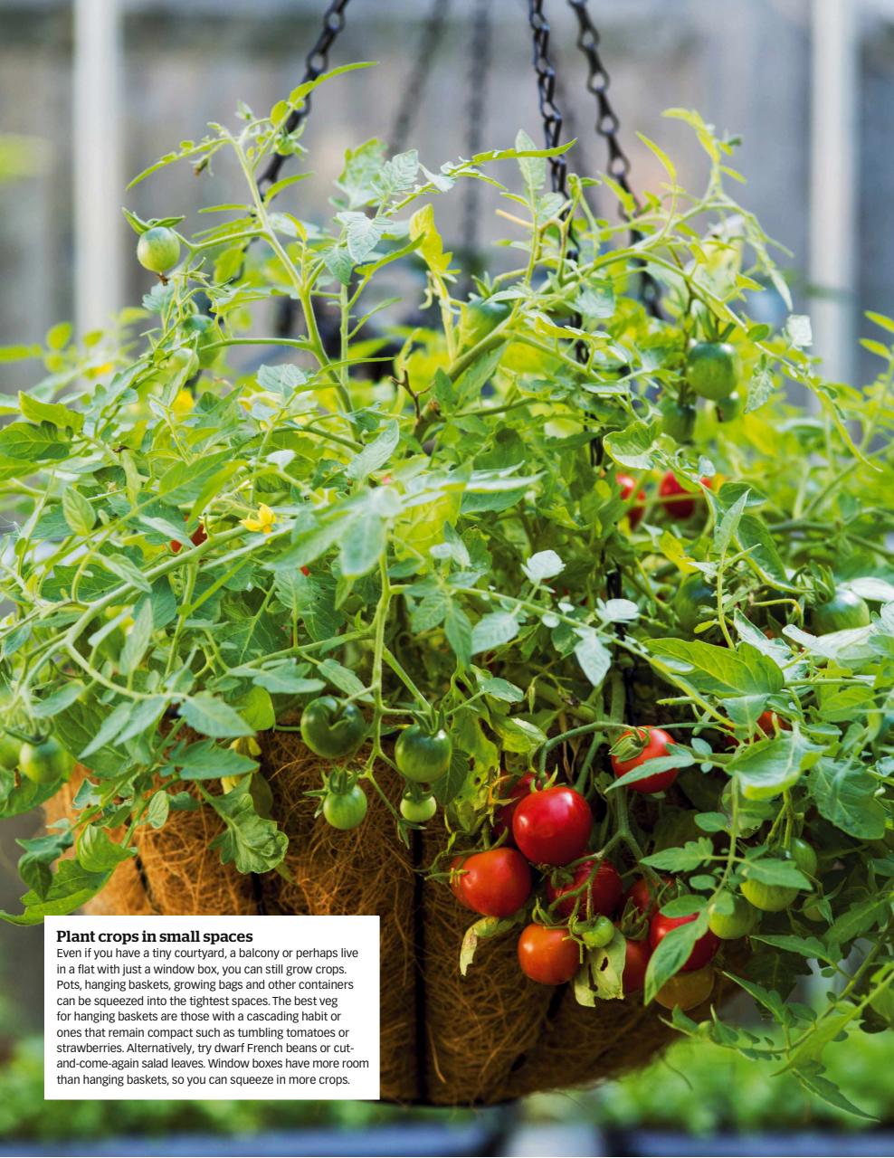 BBC Gardeners’ World Magazine Preview Pages