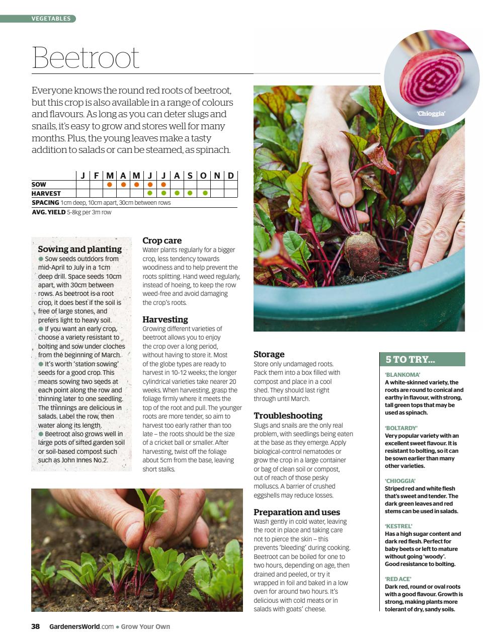BBC Gardeners’ World Magazine Preview Pages