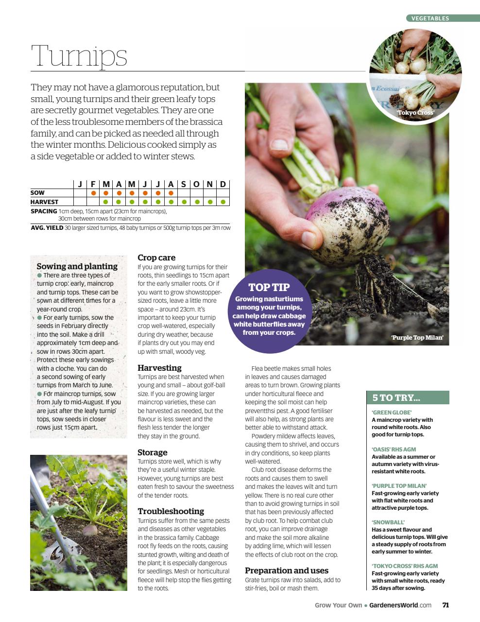 BBC Gardeners’ World Magazine Preview Pages