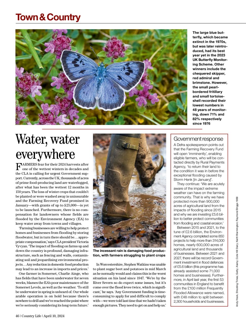 Country Life Preview Pages