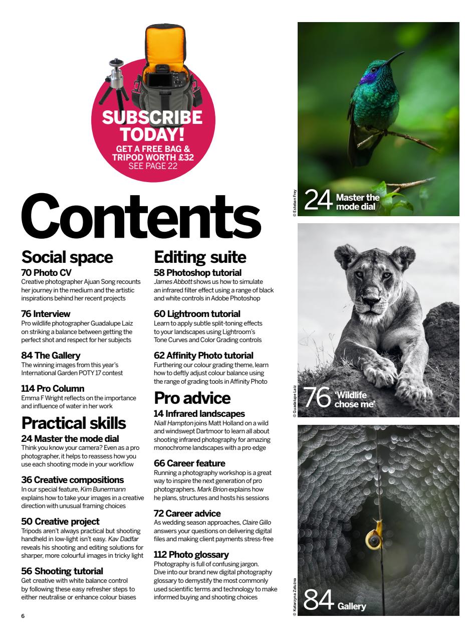 Digital Photographer Preview Pages