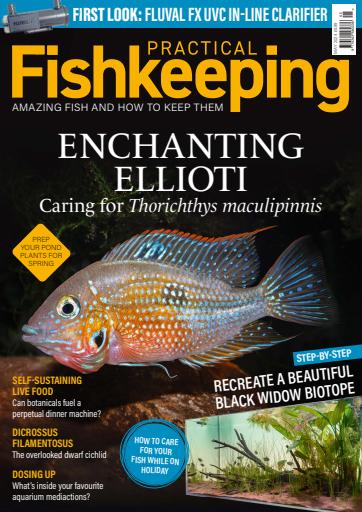 Practical Fishkeeping issue 