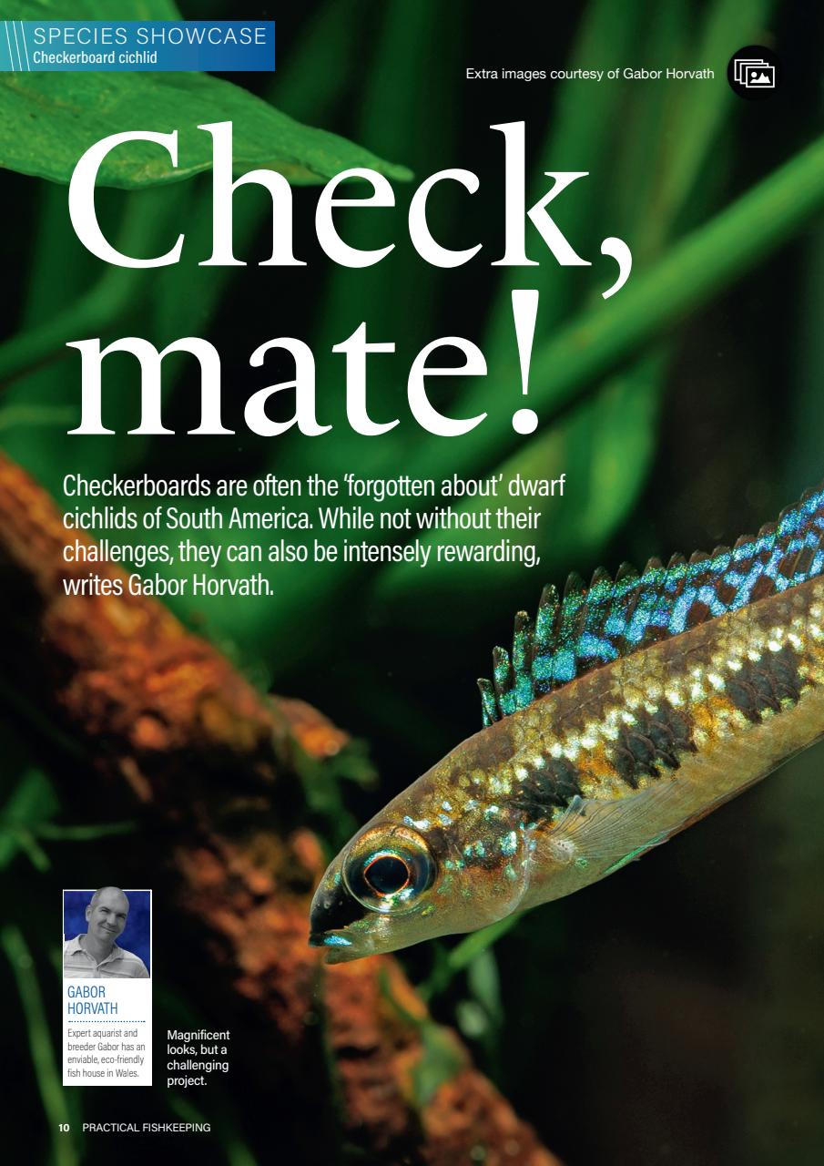 Practical Fishkeeping Preview Pages