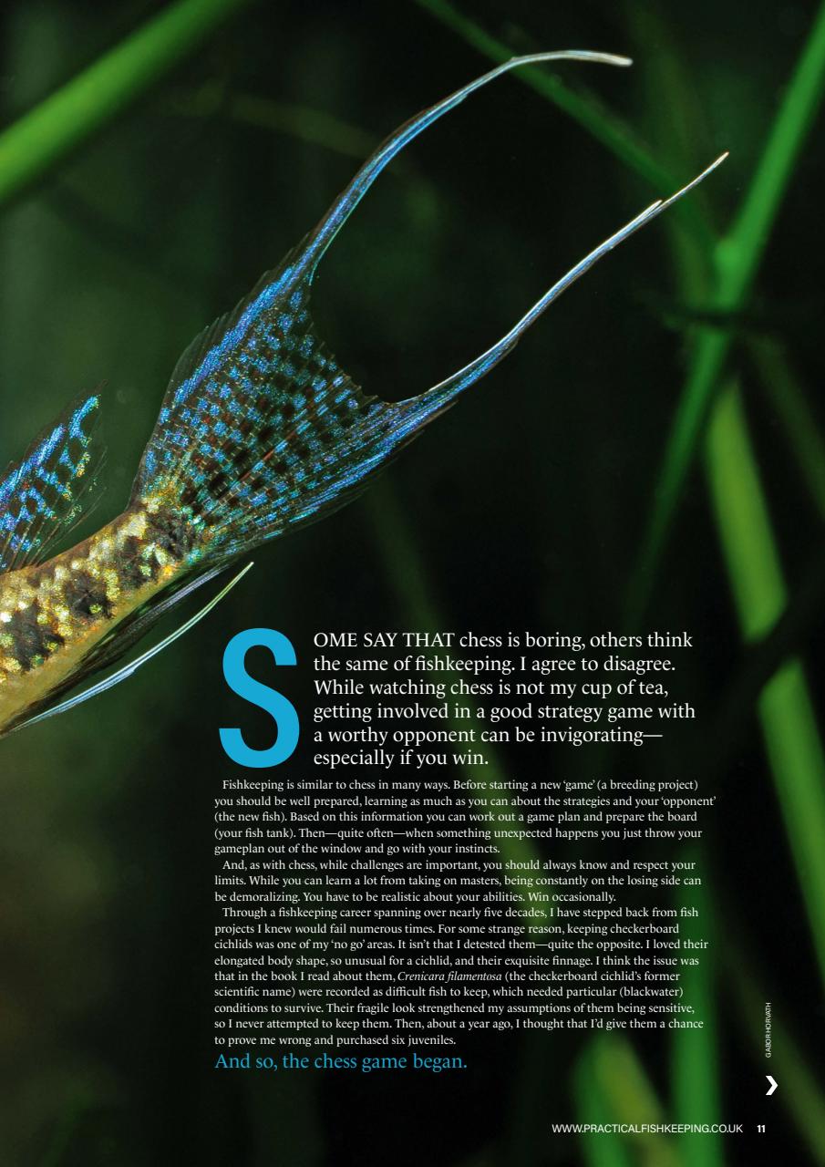 Practical Fishkeeping Preview Pages