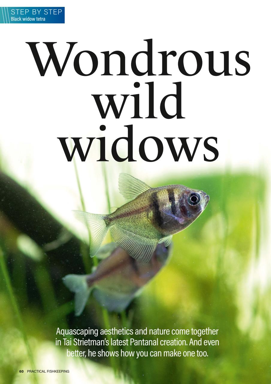 Practical Fishkeeping Preview Pages