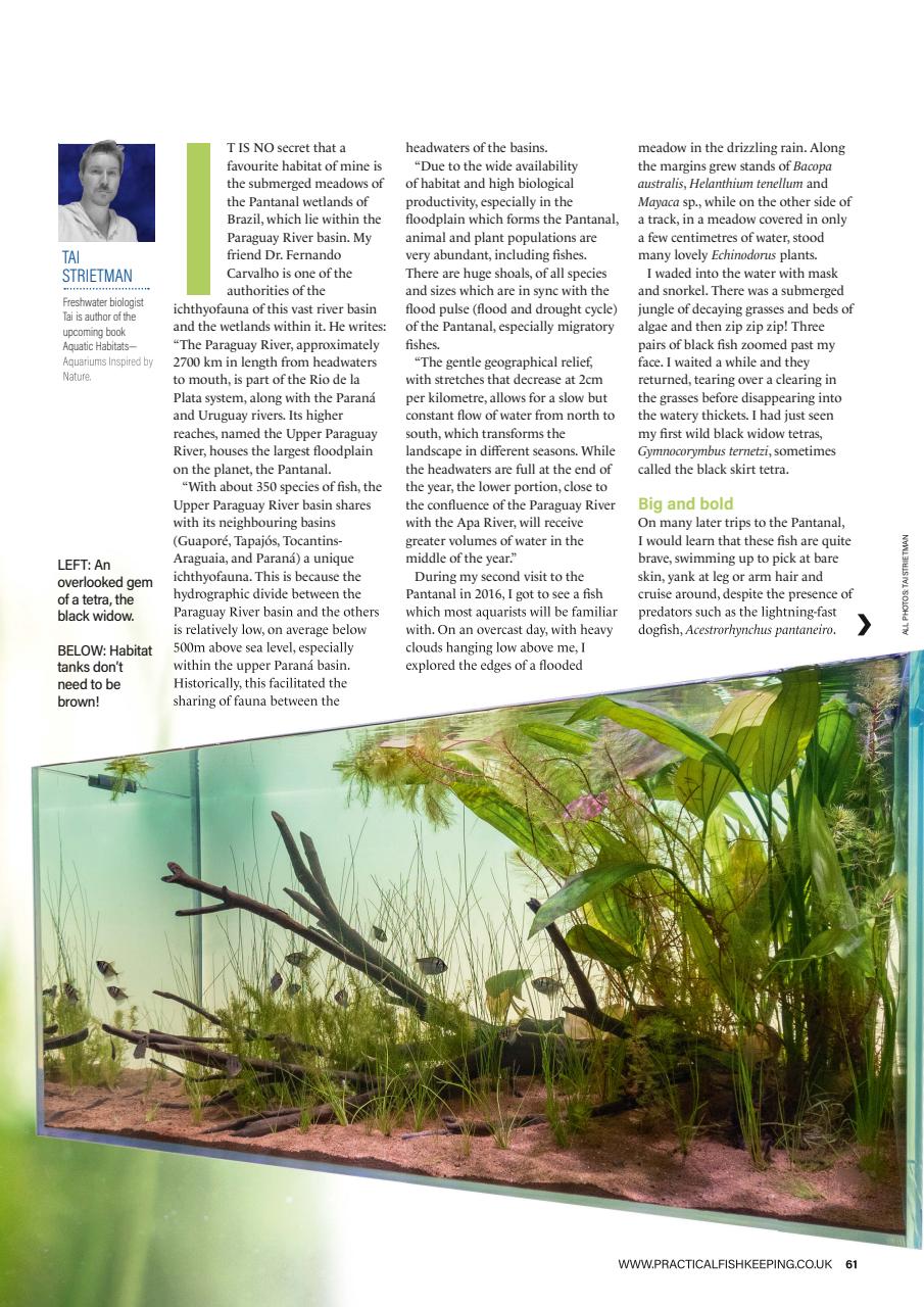 Practical Fishkeeping Magazine - May 2024 Edición anterior