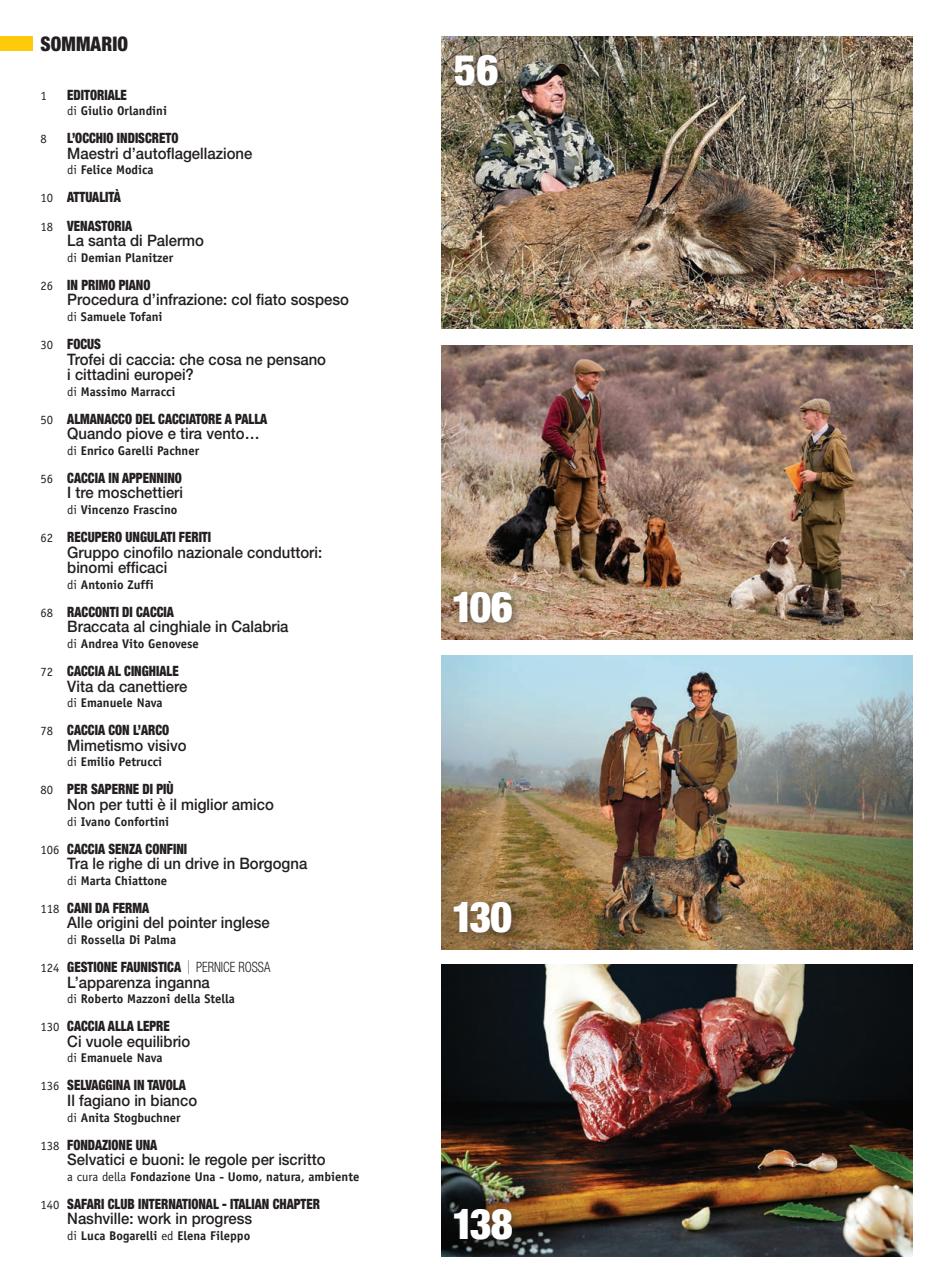 Caccia Magazine Preview Pages