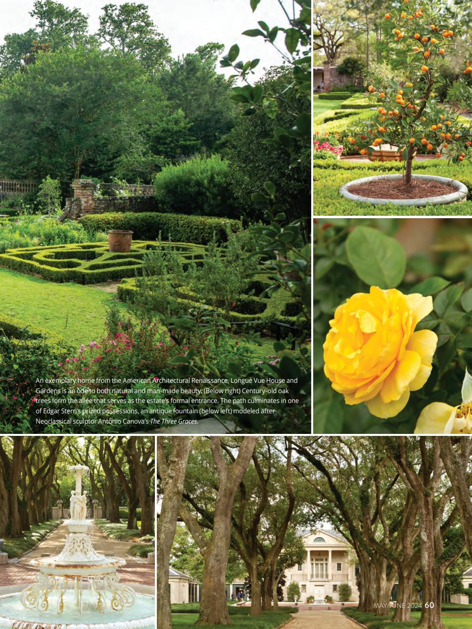 Southern Lady Preview Pages