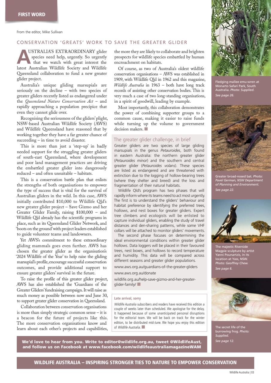 Wildlife Australia Preview Pages