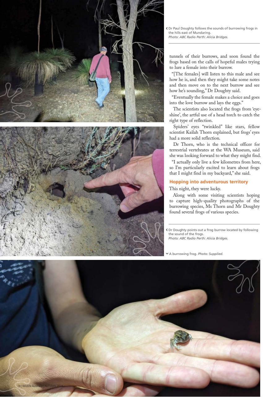 Wildlife Australia Preview Pages