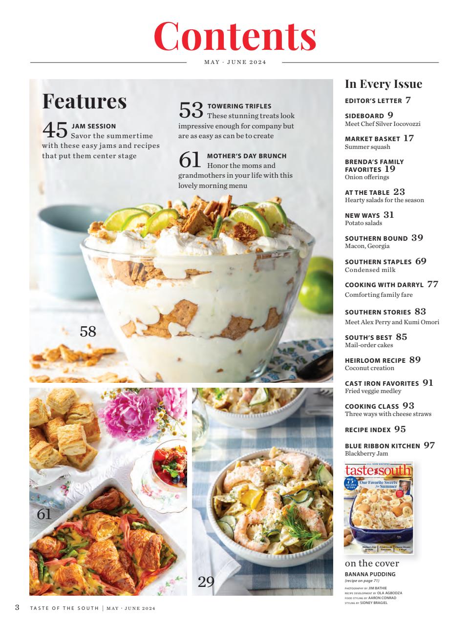Taste of the South Preview Pages
