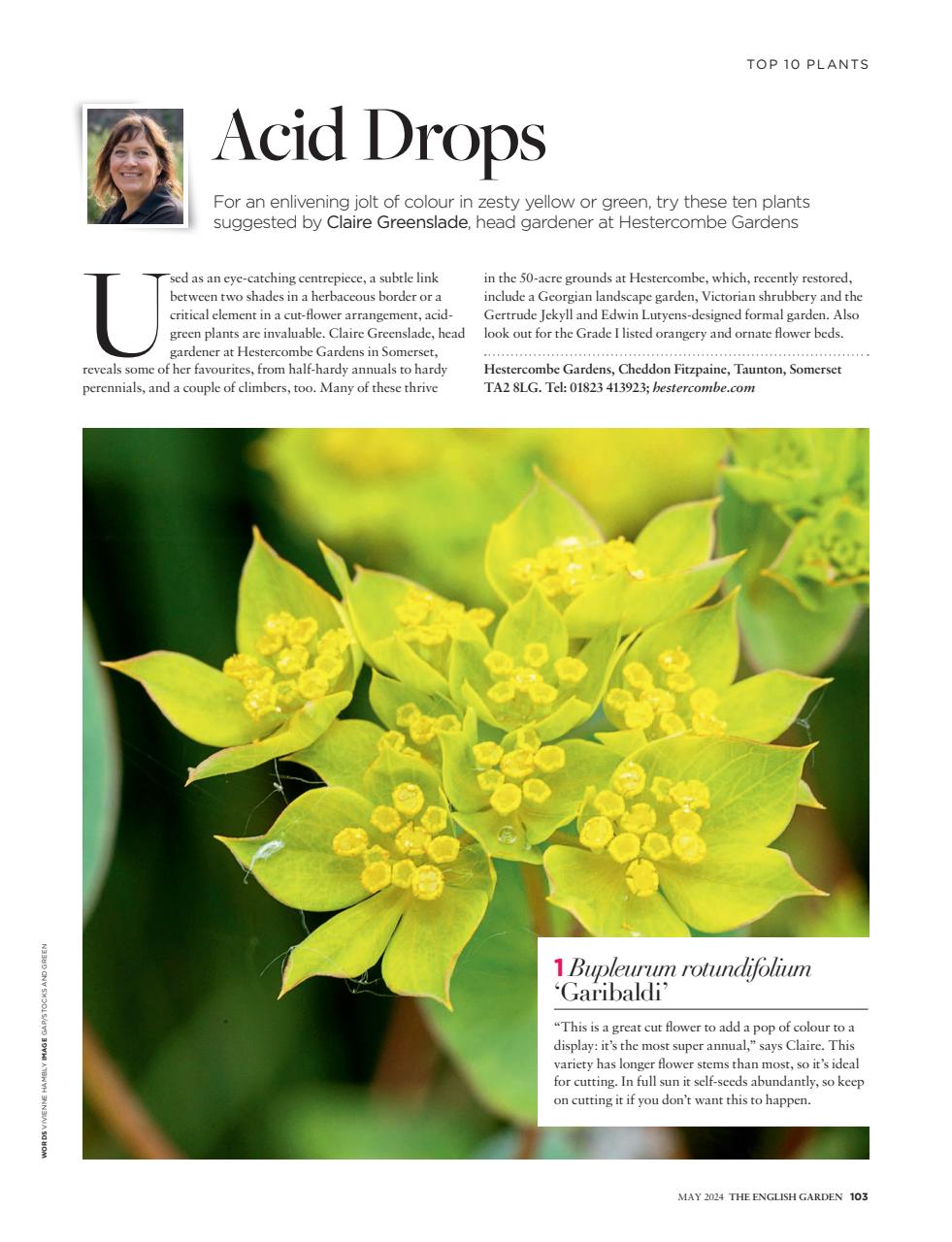 The English Garden Preview Pages