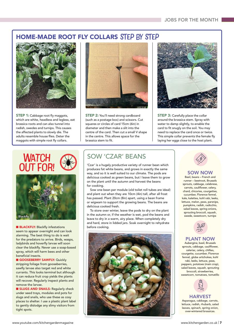 Kitchen Garden Magazine Preview Pages
